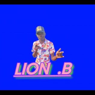 Lion B