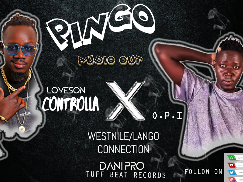 Pingo