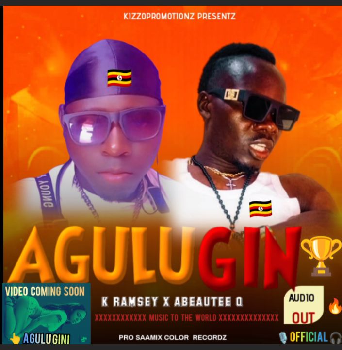 Agulu Gini