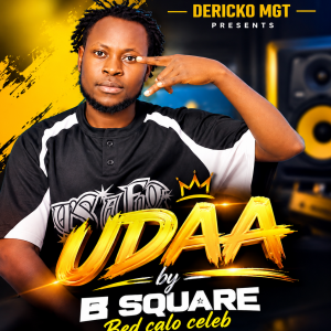 Udaa