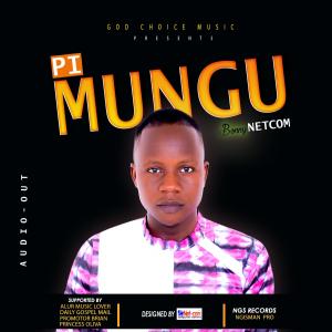 Bonny NETCOM