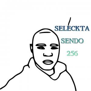 Seleckta Sendo 256