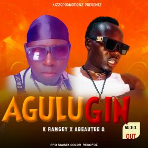 Agulu Gini