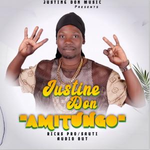 Amitungo