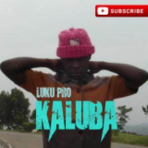 Luku Pro