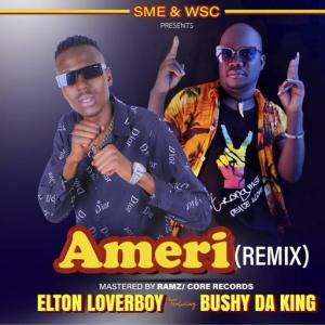 Ameri (Remix)