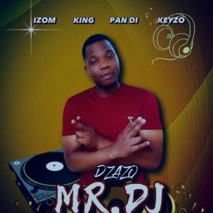 Mr DJ