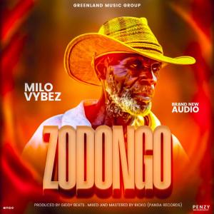 Zodongo